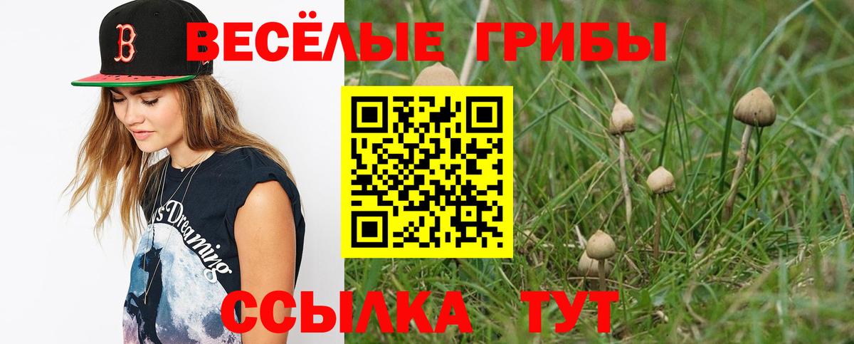 Альметьевск  Галлюциногенные грибы прущие грибы  Вход с VPN  Псилоцибиновые грибы MAGIC MUSHROOMS 